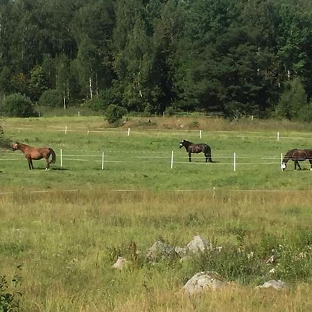 Vila Egen Laegenhet I 2-Familjshus Pa Landet. Tierp Exteriér fotografie