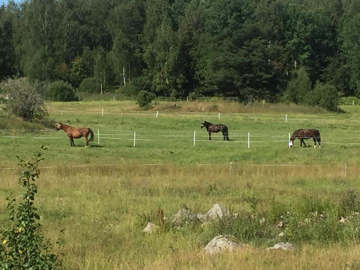 Vila Egen Laegenhet I 2-Familjshus Pa Landet. Tierp Exteriér fotografie